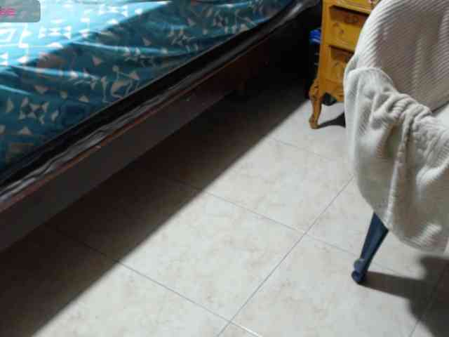 paloma12 webcam