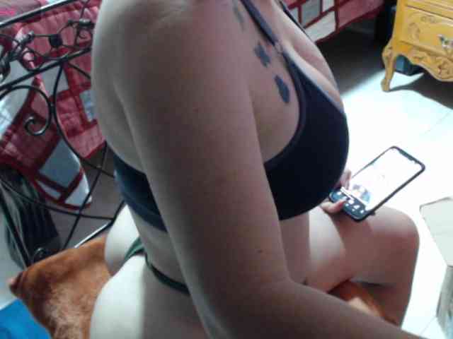 paloma12 webcam