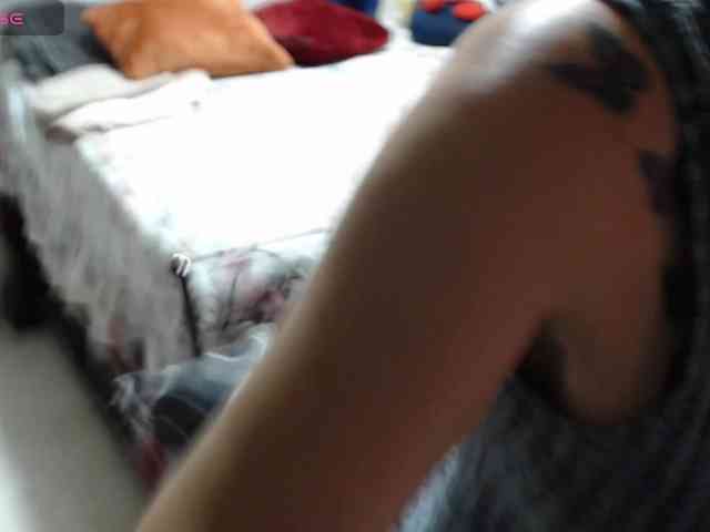 paloma12 webcam