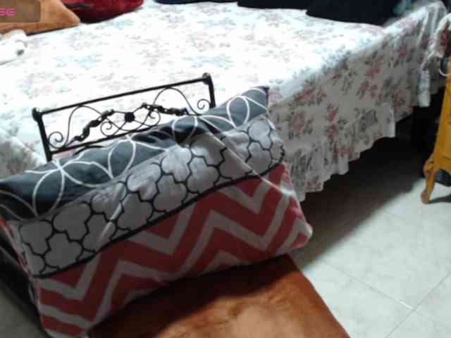 paloma12 webcam