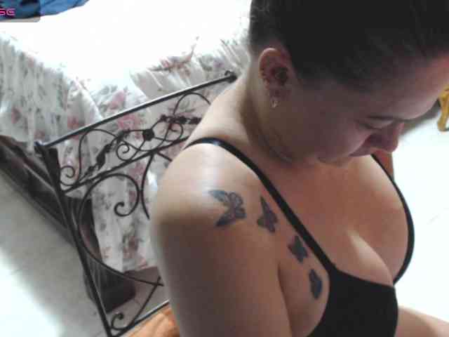 paloma12 webcam