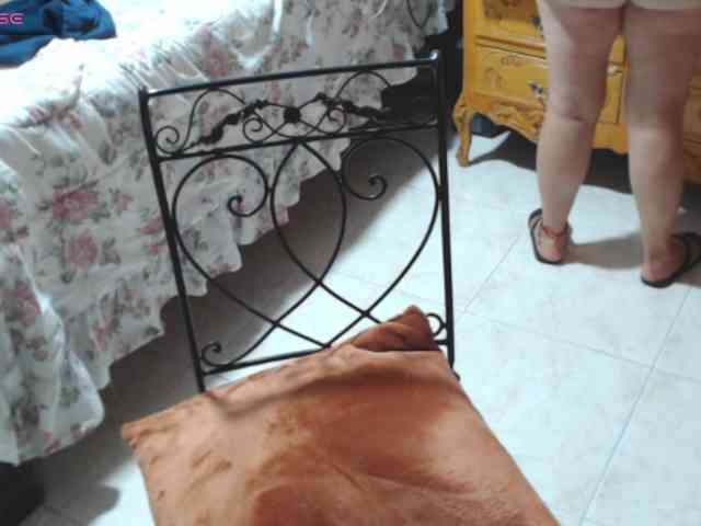 paloma12 webcam