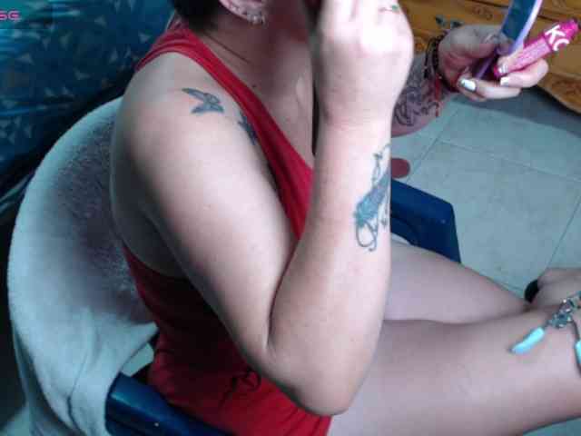 paloma12 webcam