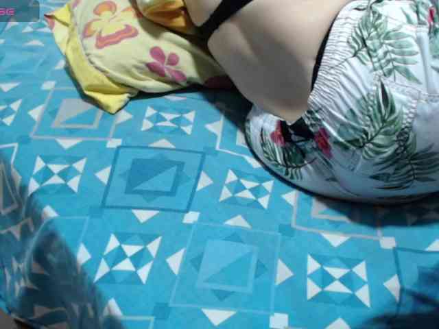 paloma12 webcam