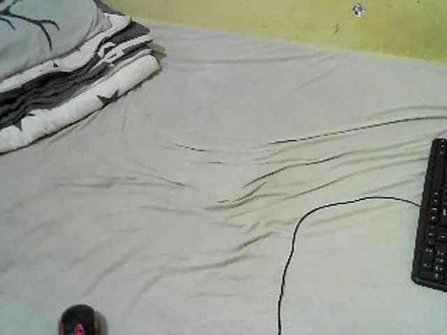 Quincy-joy webcam