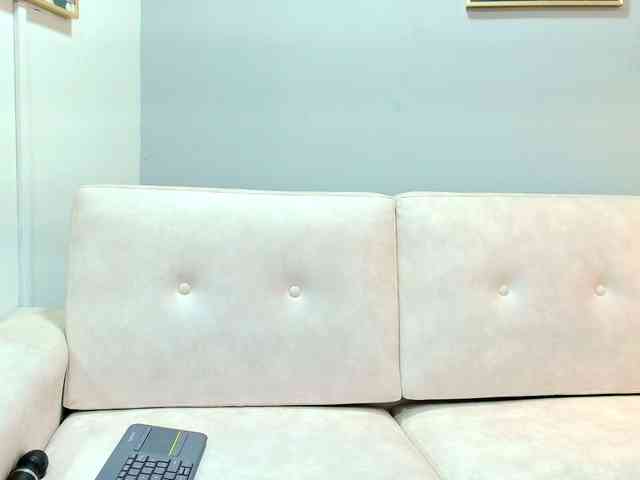 Savannahh webcam