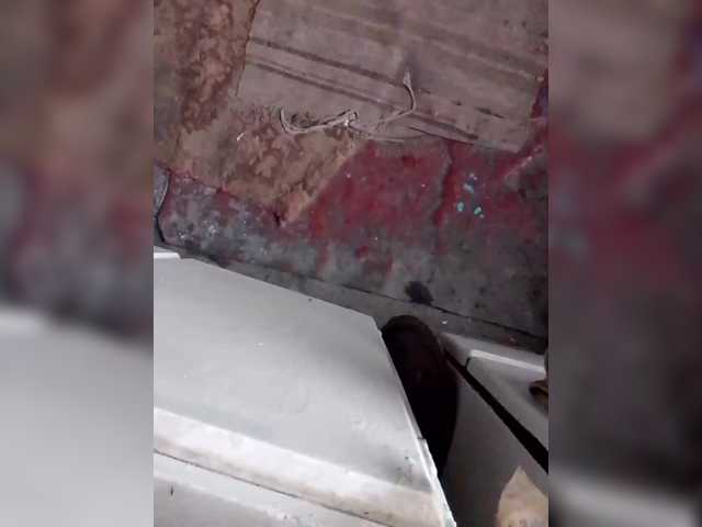 Rosa41's BongaCams show and profile