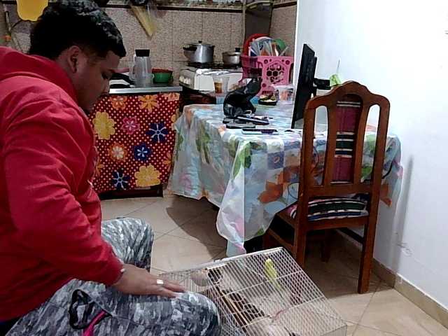 Preview of curiousnasty