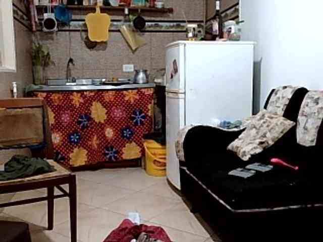 curiousnasty curiousnasty