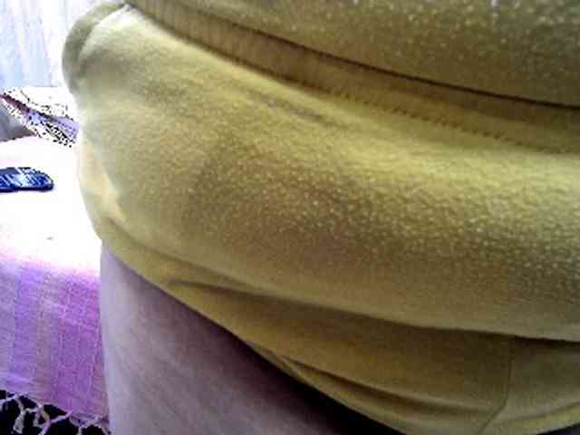 curiousnasty webcam
