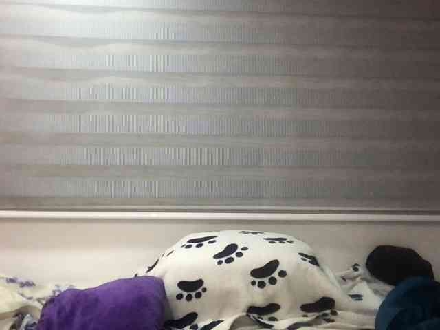 Samyhota webcam