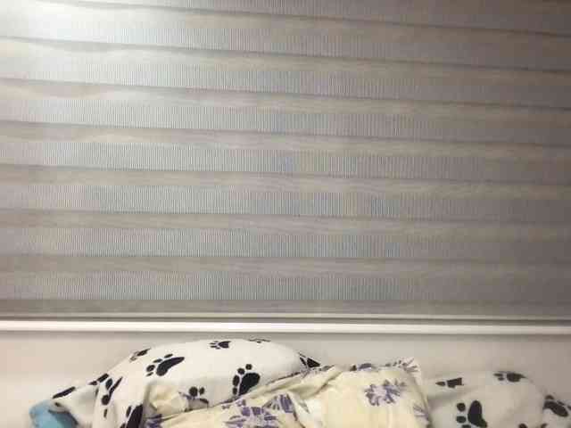 Samyhota webcam