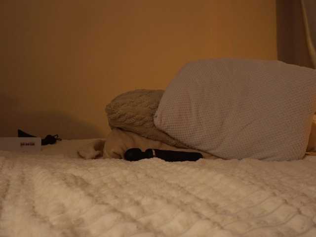 mariaro's BongaCams show and profile