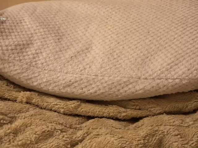 mariaro's BongaCams show and profile