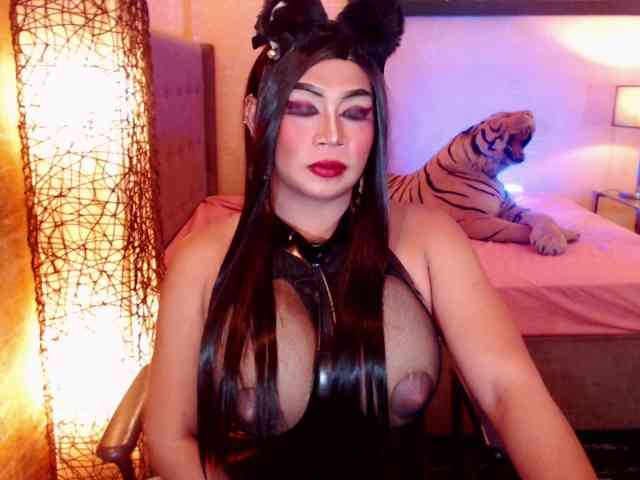 BigCockAmanda Live Webcam on BongaCams BigCockAmanda Live Webcam on BongaCams