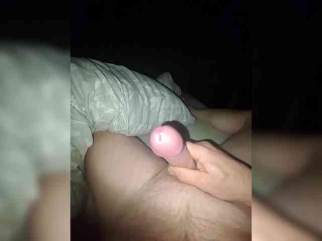 royisnice1 royisnice1