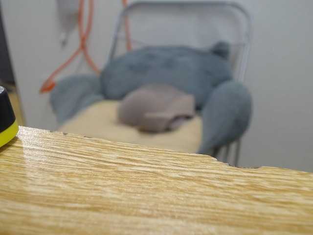 --Luna--'s BongaCams show and profile