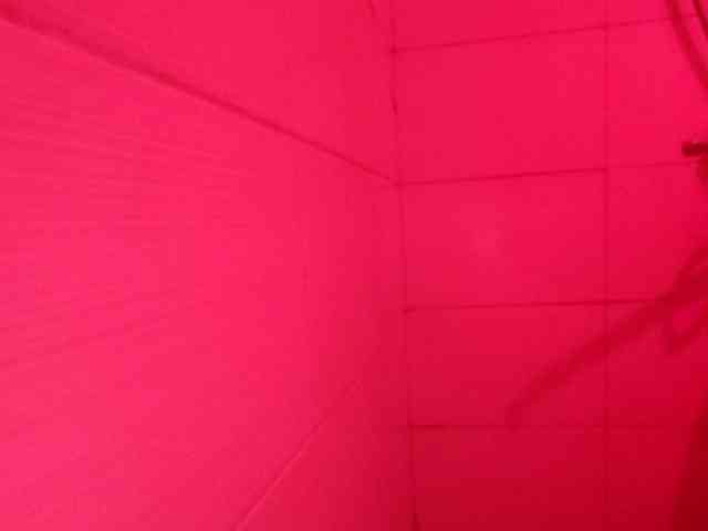 WoWMe Live Webcam on BongaCams