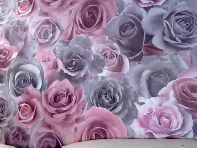 ViktoryDimond webcam