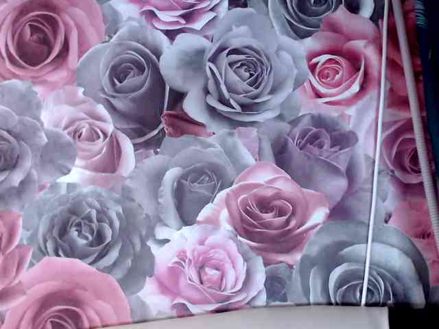 chat random ViktoryDimond