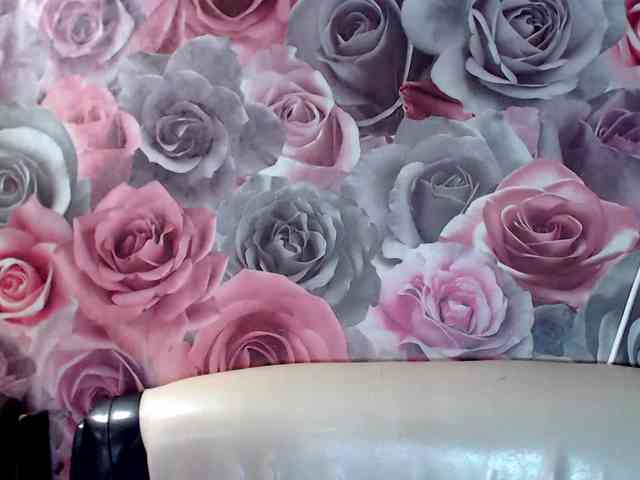 ViktoryDimond webcam