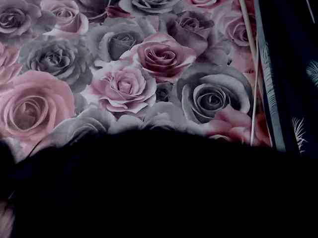 ViktoryDimond webcam