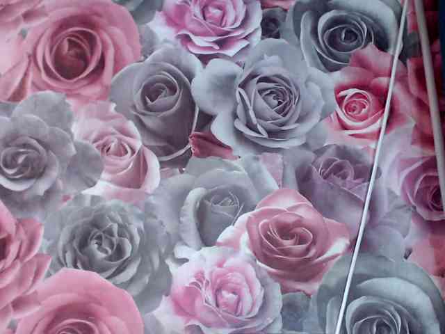 ViktoryDimond webcam