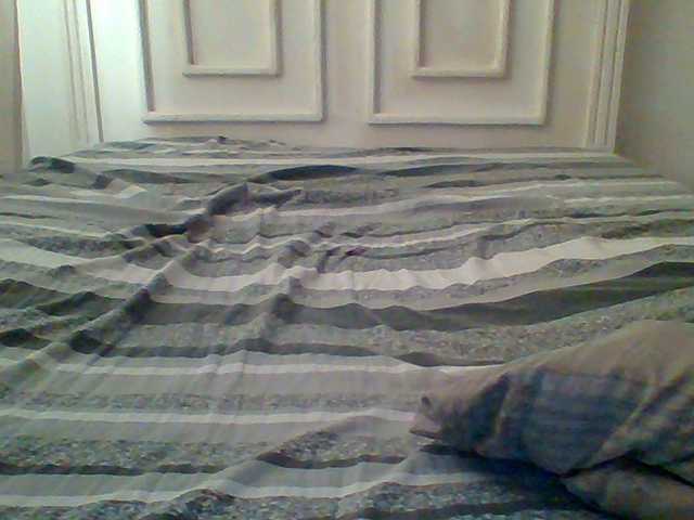 AmorSweetgal's BongaCams show and profile