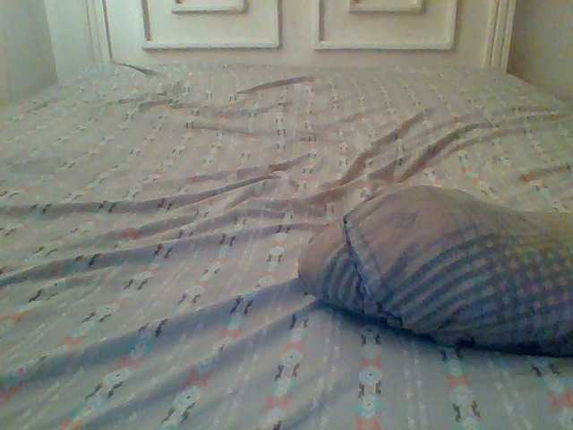 AmorSweetgal's BongaCams show and profile