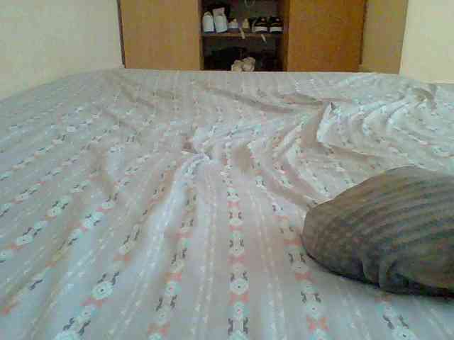 AmorSweetgal AmorSweetgal