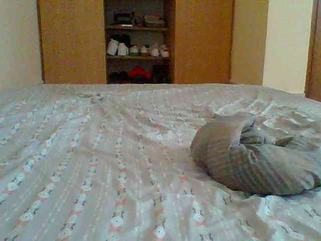 AmorSweetgal webcam
