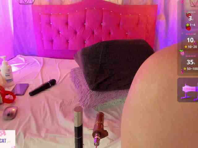 Wild-lilhy webcam