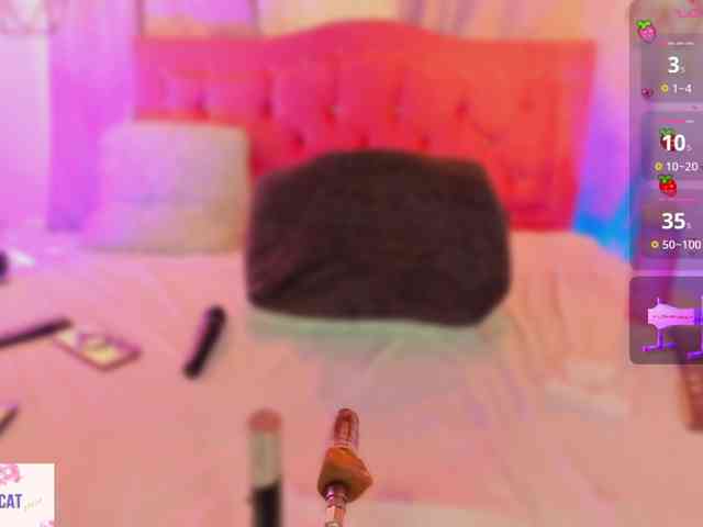 Wild-lilhy webcam
