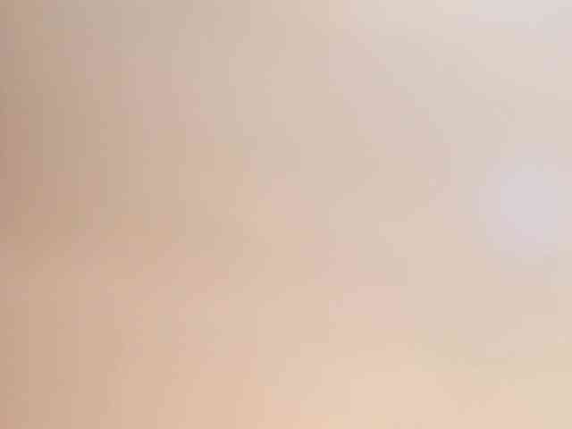 hayneiko webcam