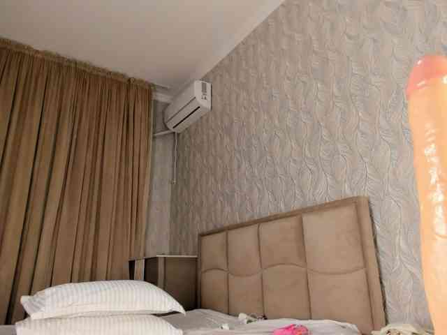 hayneiko webcam