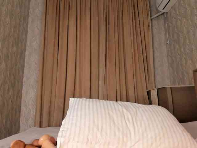 hayneiko webcam