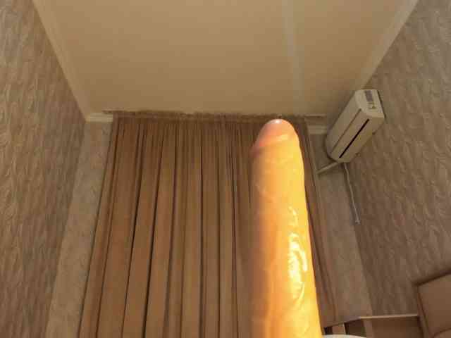 hayneiko webcam