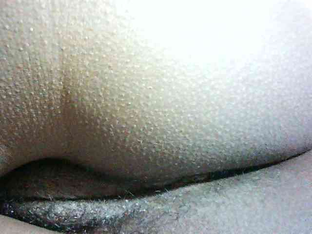 Daydiamond webcam