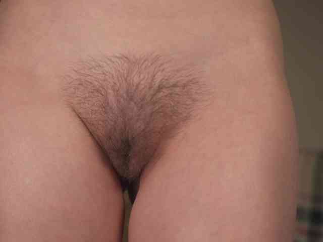 OrsonHodge OrsonHodge