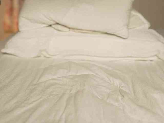 OrsonHodge webcam