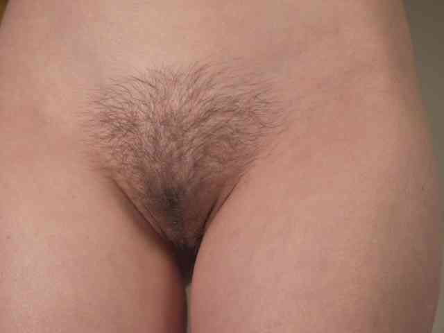 OrsonHodge OrsonHodge