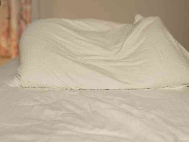 OrsonHodge webcam