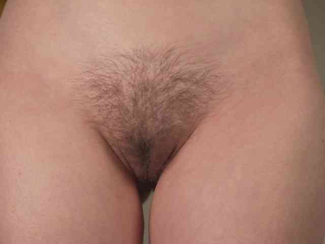 OrsonHodge OrsonHodge