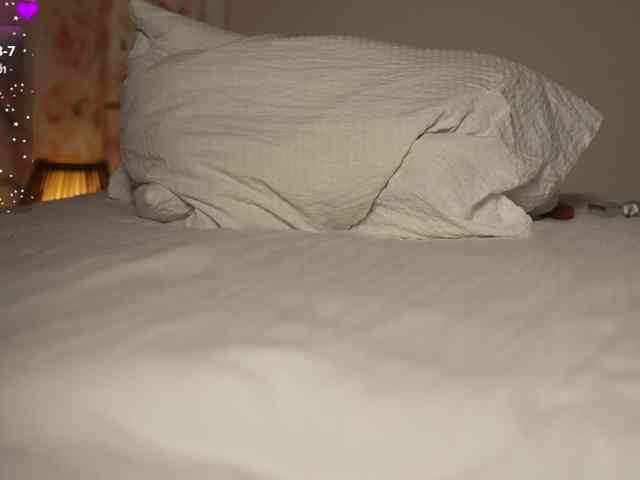 OrsonHodge webcam