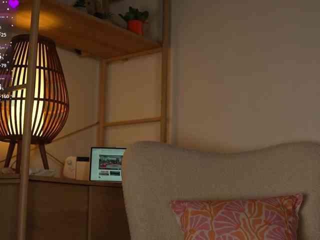 OrsonHodge webcam