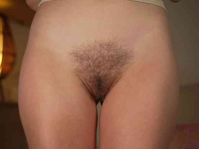 OrsonHodge webcam