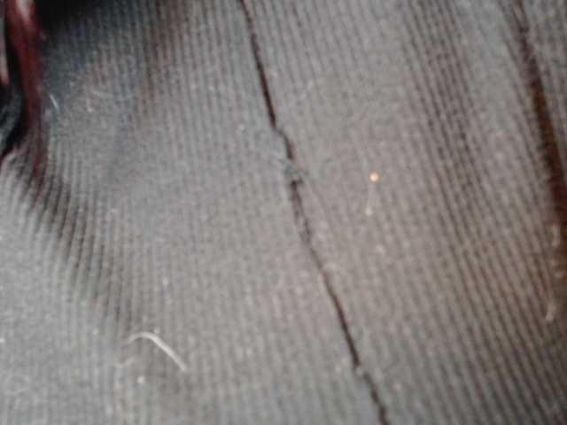 Preview of marianran