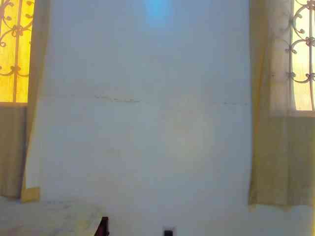 Lilyusk11 webcam
