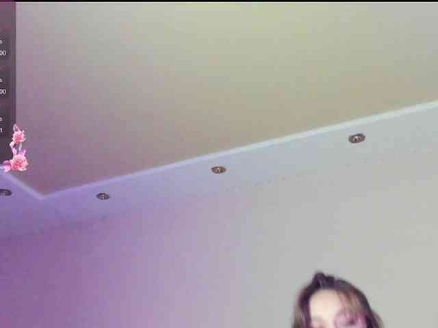 may-flower webcam