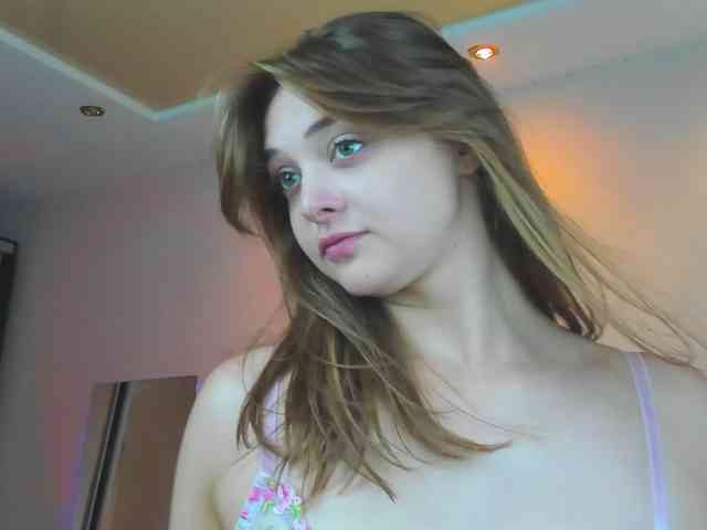 may-flower webcam